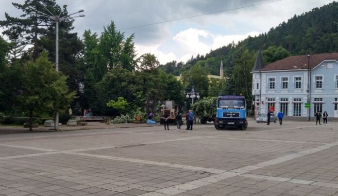 Обследват дърветата в Кюстендил, след като липа падна върху 2-годишното дете