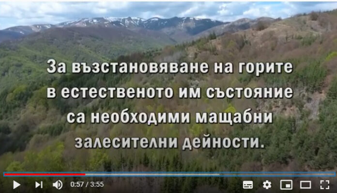 Видеоклип представя залесяването с модерни технологии в горите на ЮЗДП