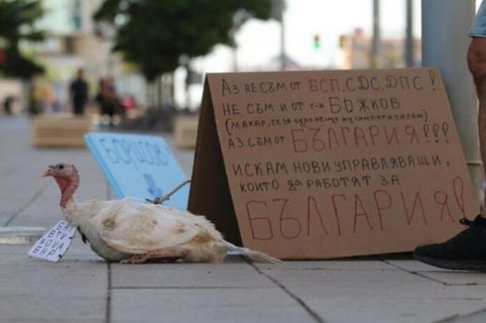 23 ДЕН ПРОТЕСТИ: Блокади в София и Стара Загора