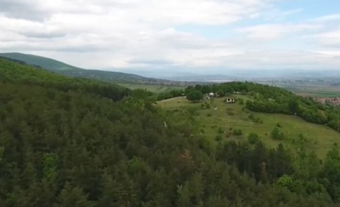 Проектът за гората в Црънча е готов