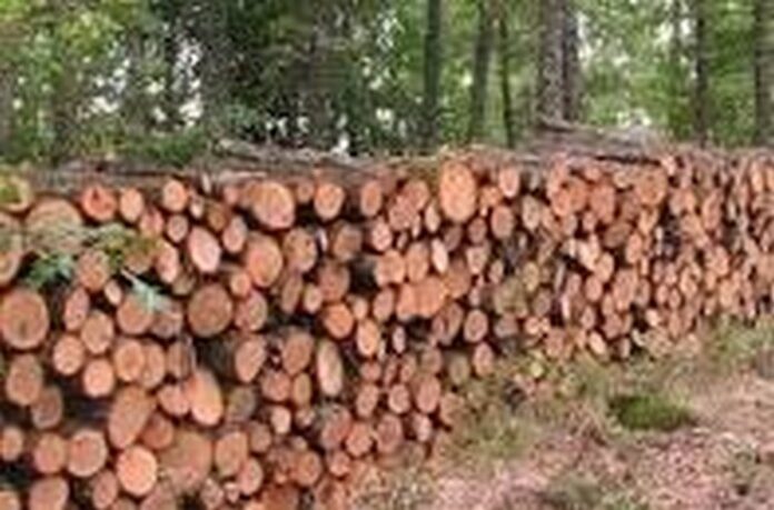 Протест на дървопреработвателите от Гоцеделчевско