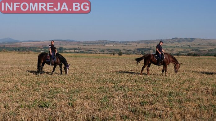 Обезлюденото село Яребковица ще претърсват за следи от Янек