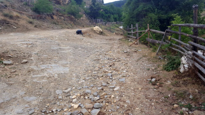 Директорът на „ДГС Места” е уволнен, а сечта около водохващането на Рибново - временно спряна