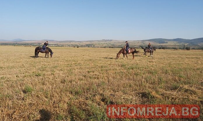 Пламна полето при Крайници, където търсеха Янек