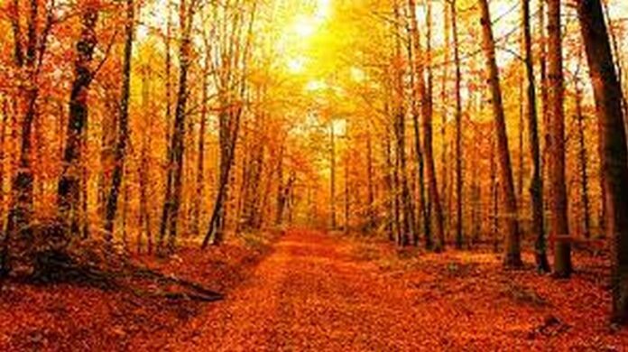 Предимно слънчево време днес