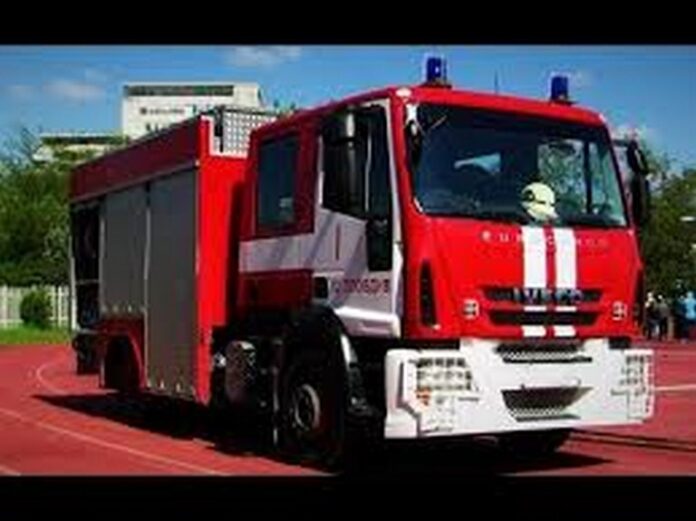 Изгоря иглолистна гора в землището на село Крушево