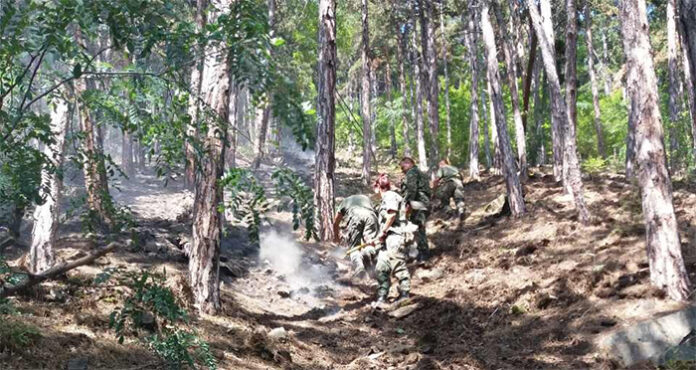 Военнослужещи отново в района на пожара над Карлово