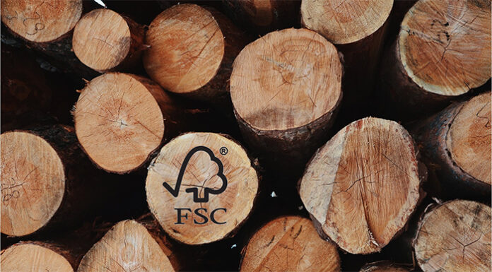 ЮЗДП получи международни сертификати по FSC за устойчиво управление на горите