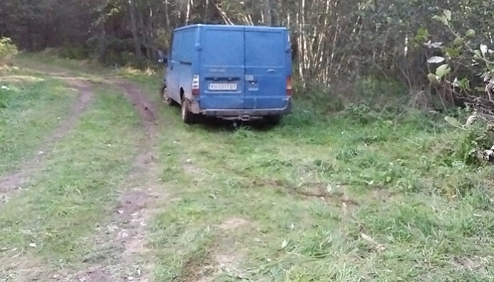 Задържан е бракониер, изсичащ воковна букова гора в Софийско