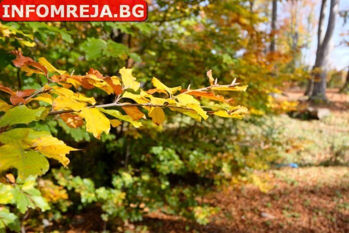 Слънчево време днес