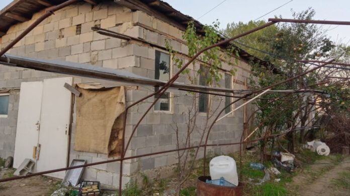 БАБХ спря дейността на незаконен развъдник, в който е родено кучето Рая