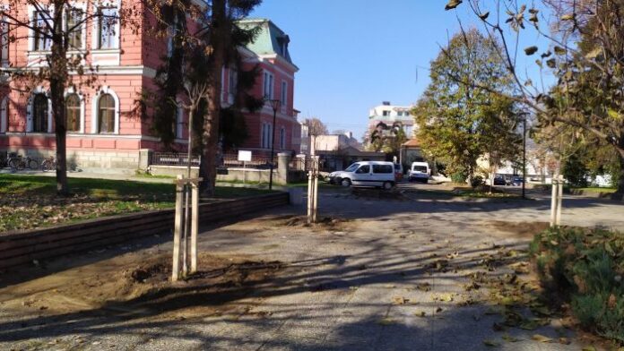 Започва поетапно засаждане на нови дървета в Кюстендил