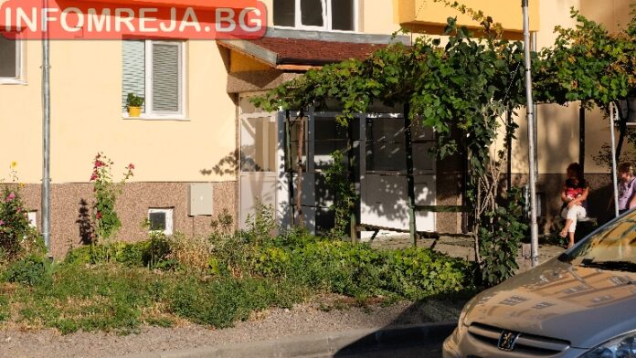 Синът на Капланов е в ареста за повреждане на кола