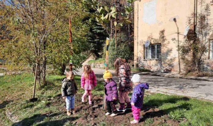 Засаждат 1001 дръвчета в Перник