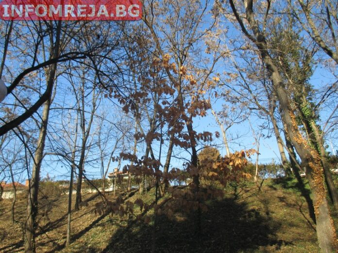 Слънчево време днес