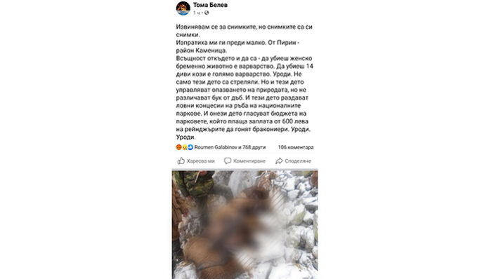 Прокуратурата в Разлог и Сандански проверява сигнал за 14 убити диви кози в Пирин