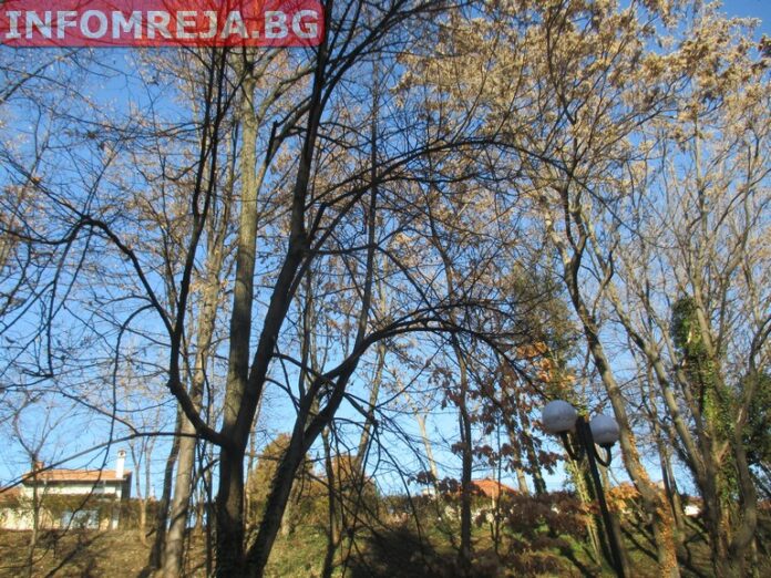 Времето ще е топло за сезона