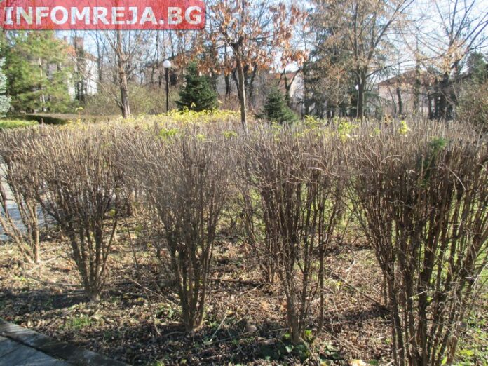 На юг остава топло за сезона, на север застудява