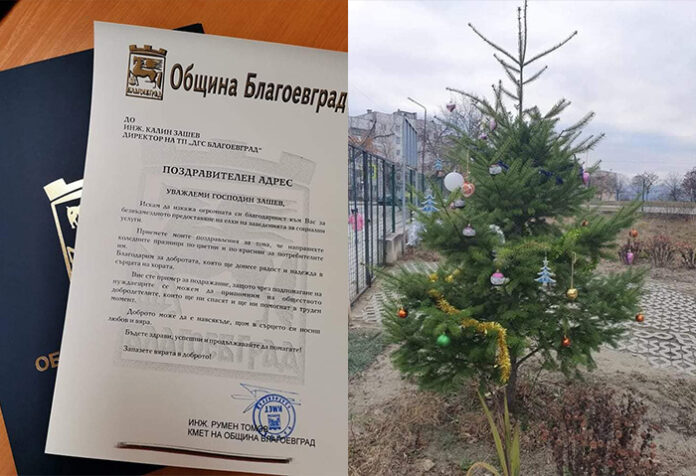 Горското стопанство предостави безвъзмездно елхи на социалните заведения в Благоевград