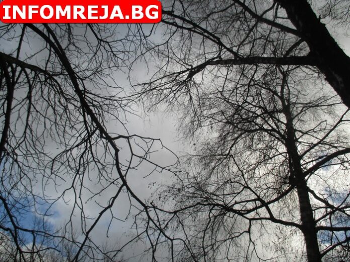 Променлива облачност днес