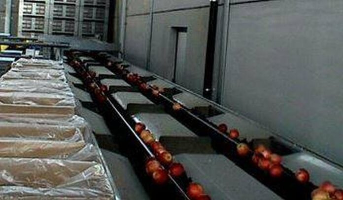 ДФЗ изплати 6,7 млн. лева по подмярка COVID 3