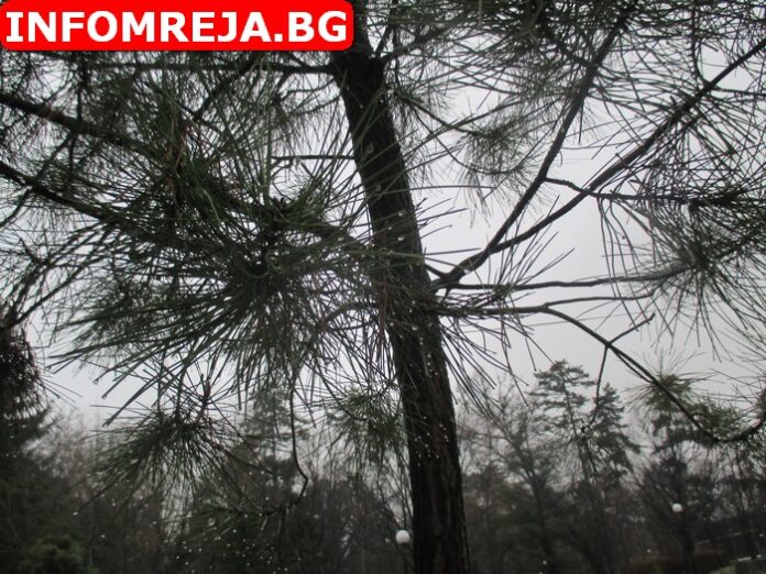 Днес преди обяд на много места ще превалява дъжд