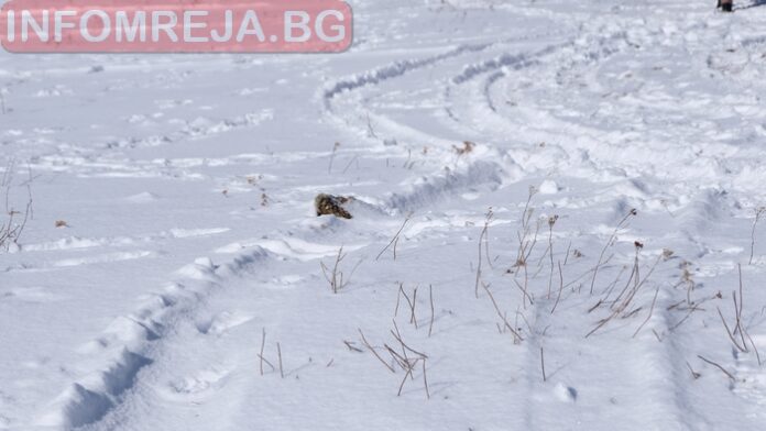 АПИ: Шофьорите да тръгват с автомобили, подготвени за зимни условия