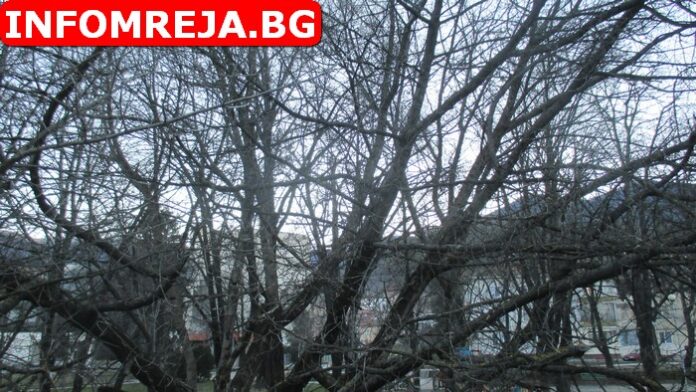 Значителна облачност днес