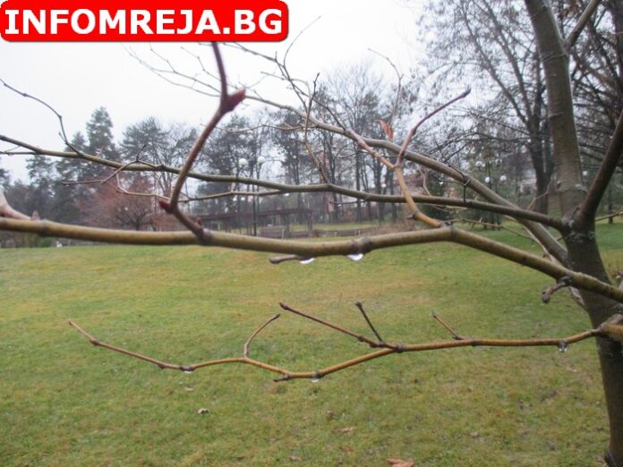 Валежите отслабват