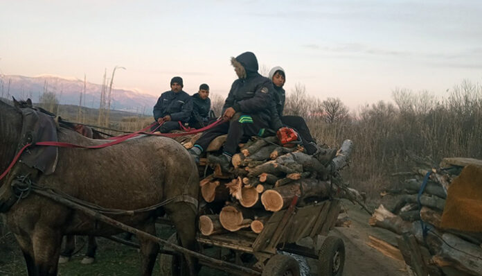 Нарушители ще плащат солено, добивали дървесина в Петричко