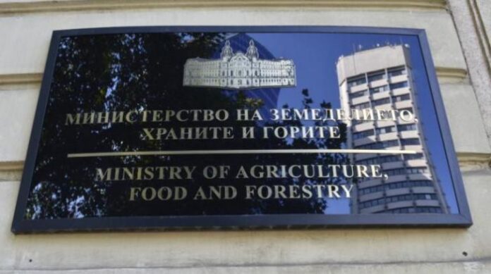 Вергиния Горова е освободена от длъжността зам.-министър на земеделието