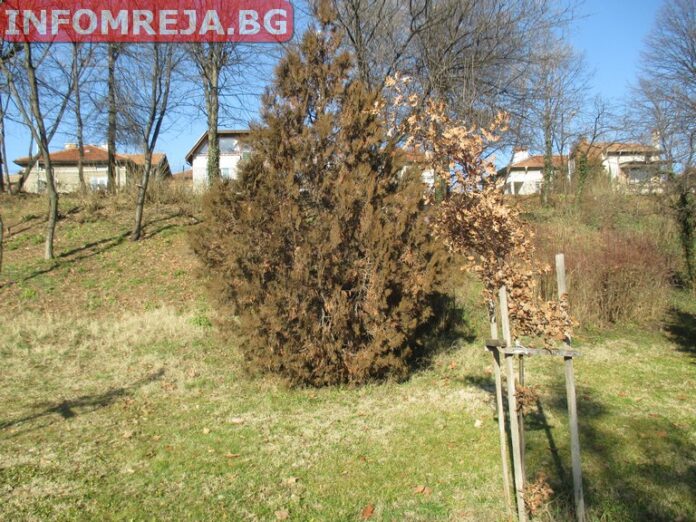Предимно слънчево време днес