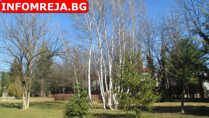 Тихо време, почти без валежи