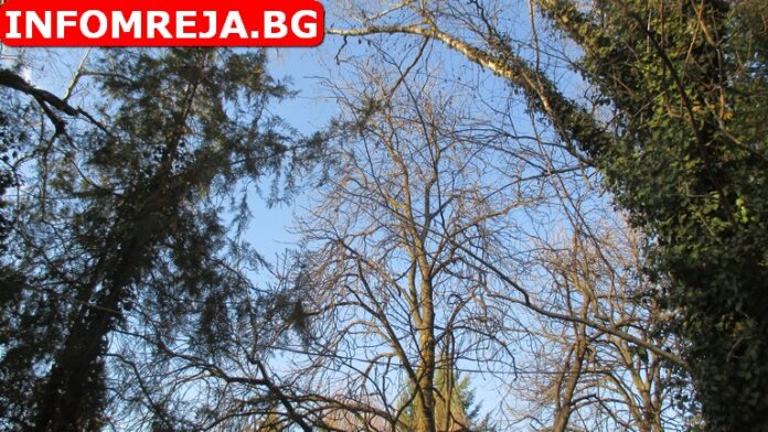 Предимно слънчево време днес