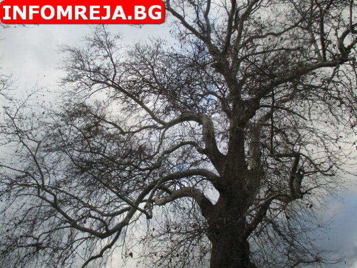 След обяд от югозапад започват валежи от сняг
