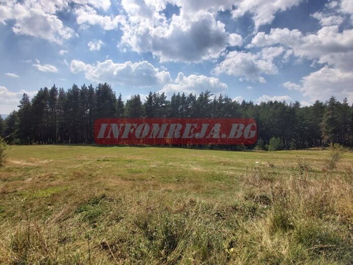 ЮЗДП започва прием на документи за закупуване на поземлени имоти