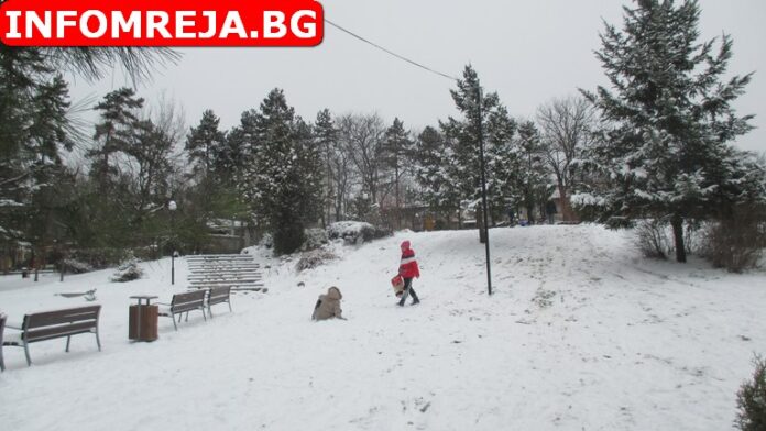 Зимно оживление в гоцеделчевския парк