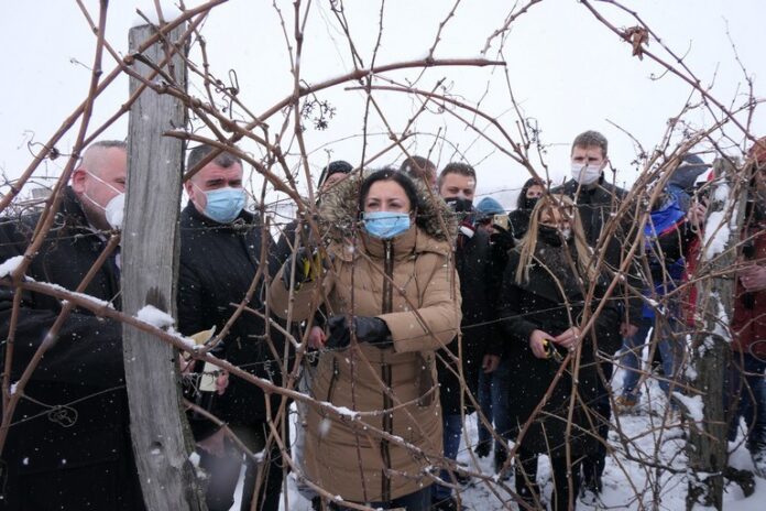 Министър Танева: През изминалата година лозаро-винарският сектор беше подпомогнат с над 60 млн. лева
