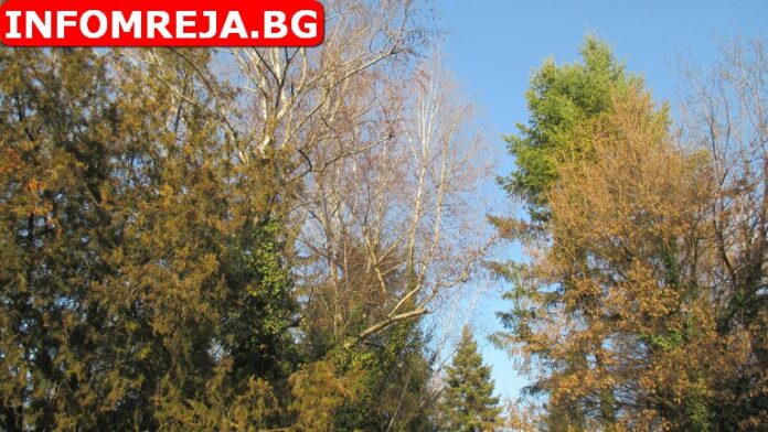 Мъглите се разсейват
