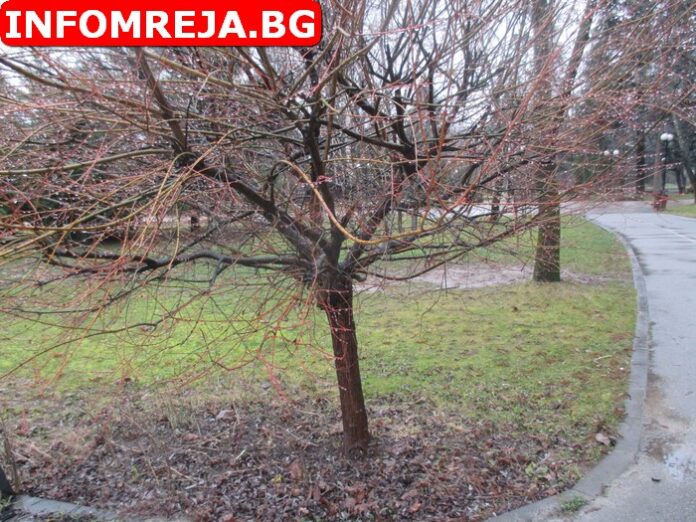 Облачно време днес