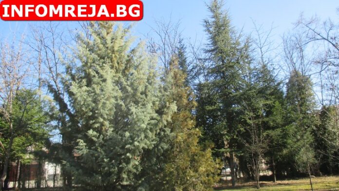 Днес ще преобладава слънчево време