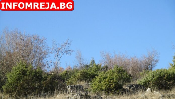 Слънчево време днес