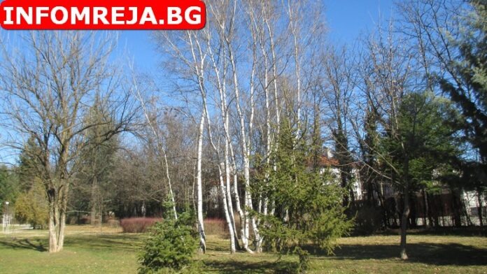 Предимно слънчево време днес