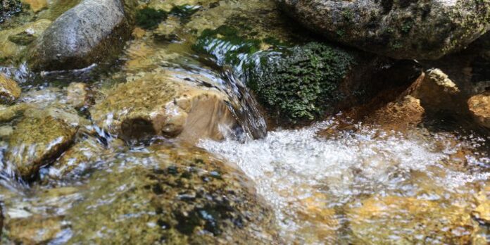 На 22 март отбелязваме Световния ден на водата