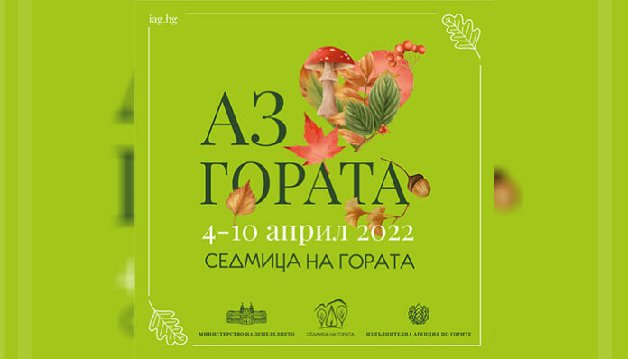 ЮЗДП отбелязва седмицата на гората