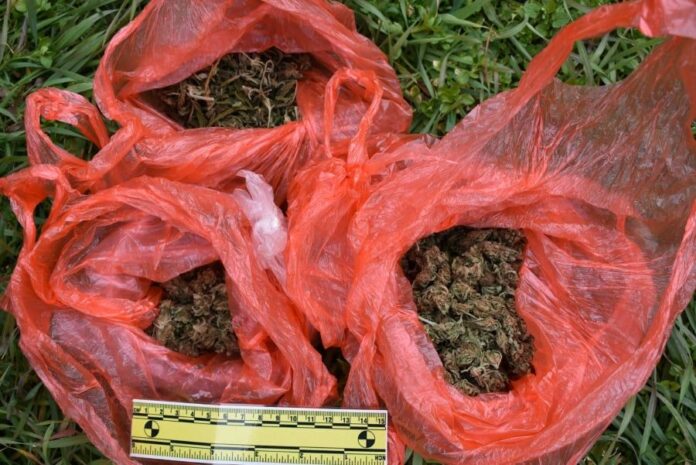 Над килограм марихуана иззеха полицаи в Нова Загора