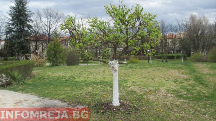 И днес времето ще бъде облачно