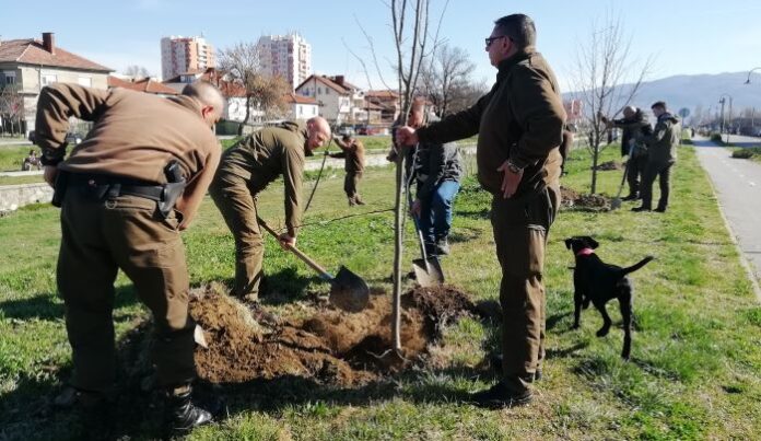 Служители от РДГ - Кюстендил, залесяваха около река Банщица