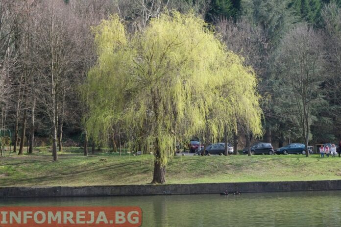 Днес над Северна България ще е слънчево, над Южна - облачно