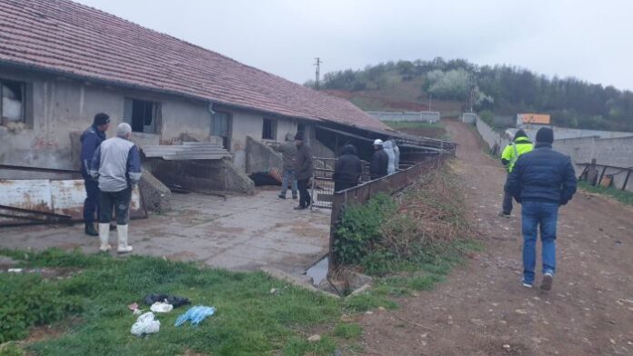 Тежки нарушения на законодателството откри БАБХ в стопанство в Кочериново